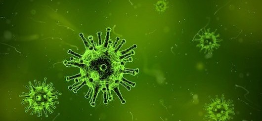 Das Corona-Virus regiert weiterhin ... Das Corona-Virus regiert weiterhin ...