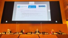 OSCE and UN promote socio-economic inclusion of minorities as a strategy for conflict prevention